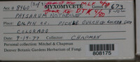 Image Associated With the Occurence